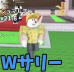 w サリー