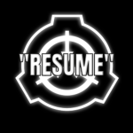 MTF Team "Resume"
