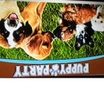 Man’s best friend 8D