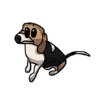 Grupo de doge oficial