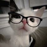 ki11erf