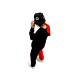 king anix