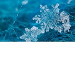 Snowflake Medical Center