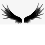 night wings giveaway
