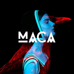 MACA Gdl
