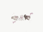 cutie cats!