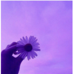 ᴘᴜʀᴘʟᴇ ʟɪғᴇ
