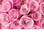 ♥ Dream's Dreamies ♥