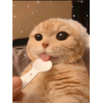 Kammmm