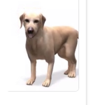 team dogs ruler ljcost1