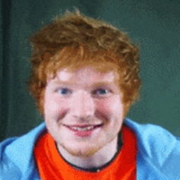 Survive Ed Sheeran The Killer