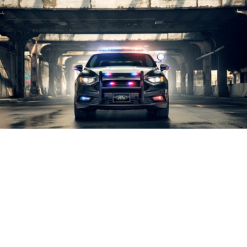 City Police RP