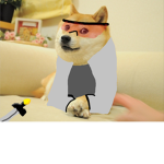 Doge's Raiding Team