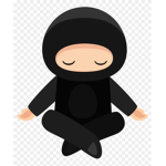 ninja$studios