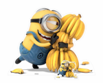 H@naaa