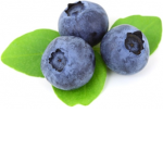 the blue berry gang