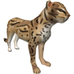 Ocelot Clan