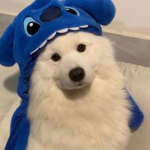 AkiraW