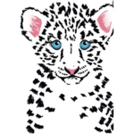 Snow leopard flakes