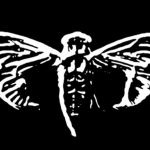 Cicadianism