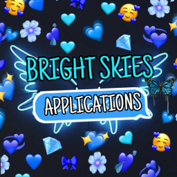 Bright Skies' Application Center