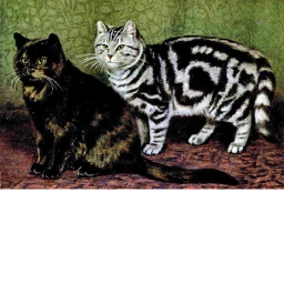 cat cat 2 icon