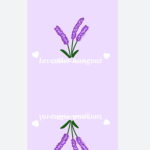 Lavender hill
