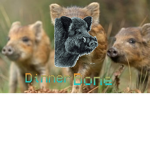Dinner Bone Grupo Oficial