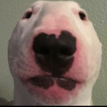 No_datafanomg group