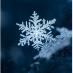 JJ's Falling Snowflakes