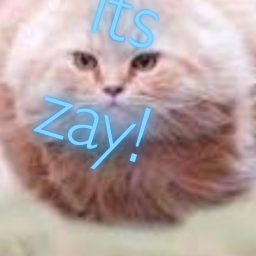 try and do it its hard!!