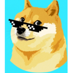 Mystical Doge's