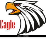 esercito italiano black falcon