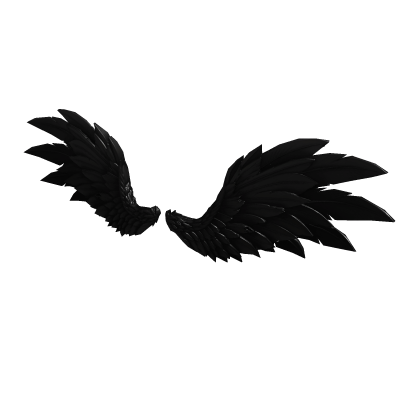 Black Feather Wings