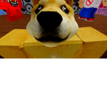 D.O.G group