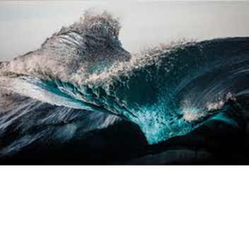 what in the world is this