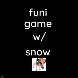 funi game w/ snow