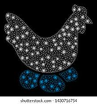 the chickens crew