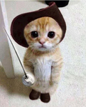 AMY’S CATZ GROUP