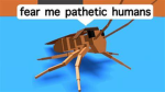 Roach family of Roblox