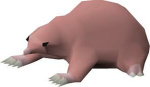 TOPOCAPIRUCHO