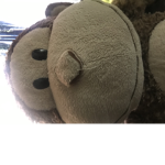 Monkey bruh