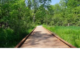 The Normal Park...