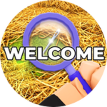 Welcome!