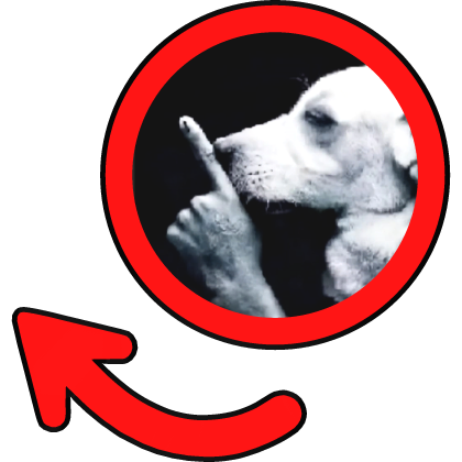 Stop Talking Dog Meme Circle
