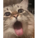 Ali h