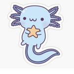 Axolotl fannss