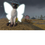 Brave wolf