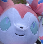 EeVee's Gym