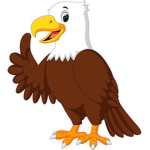 Team Hawk Forever!